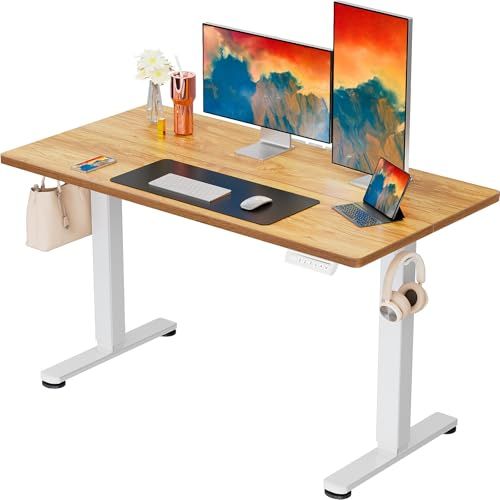 ErGear Height Adjustable Electric Standing Desk