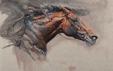 Linen-Study-I-oil-on-linen-50x50cm-Katie-OSullivan.jpg