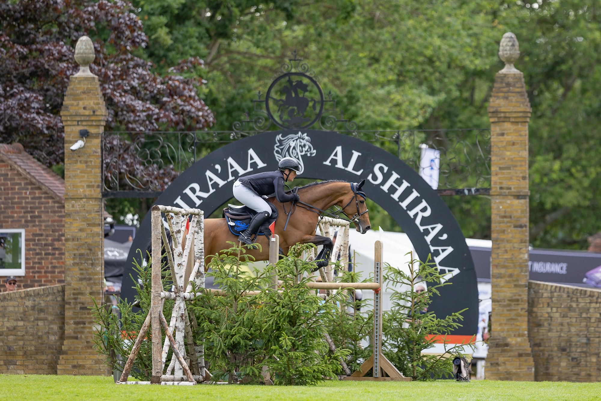 Sammie-Jo Coffin and Big Star of Follyfoot Z jump the last in the 2026 Hickstead speed derby