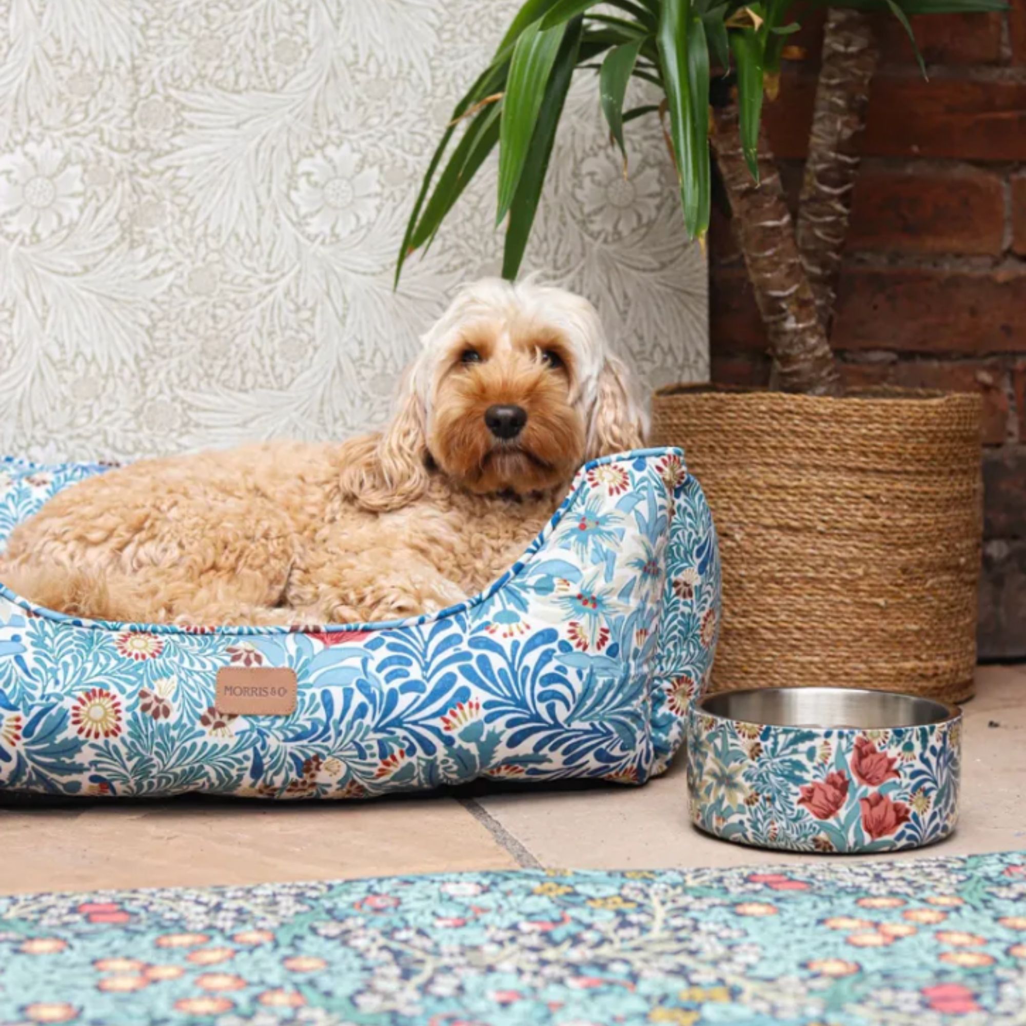 A dog in a blue floral dog bed with matching water bowl