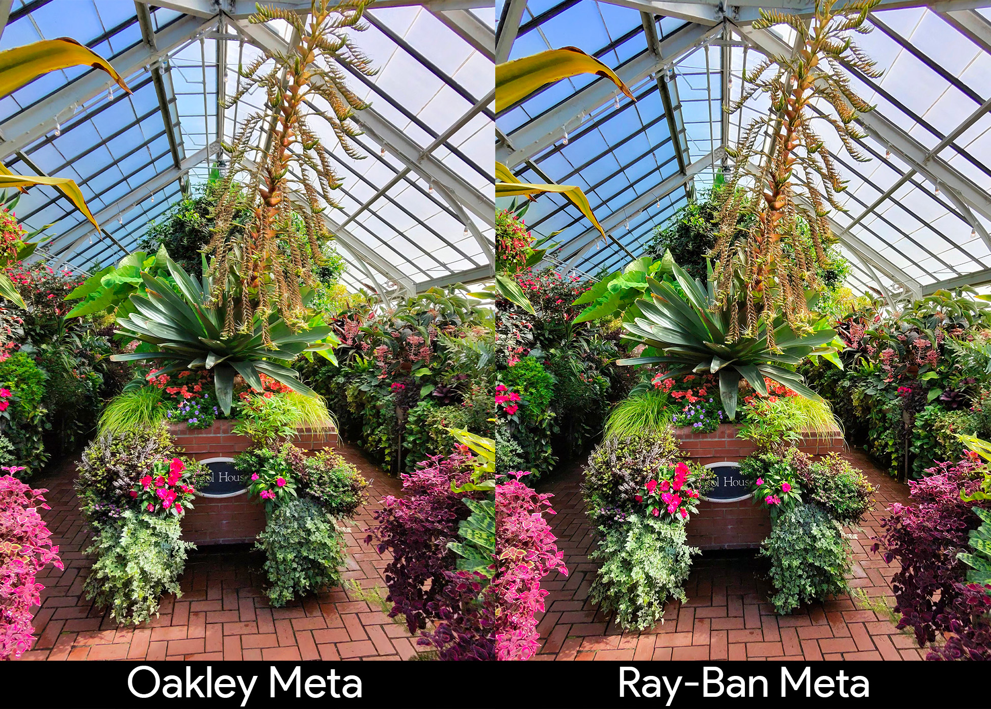 Comparing the picture quality of Oakley Meta HSTN Smart Glasses and Ray-Ban Meta Smart Glasses