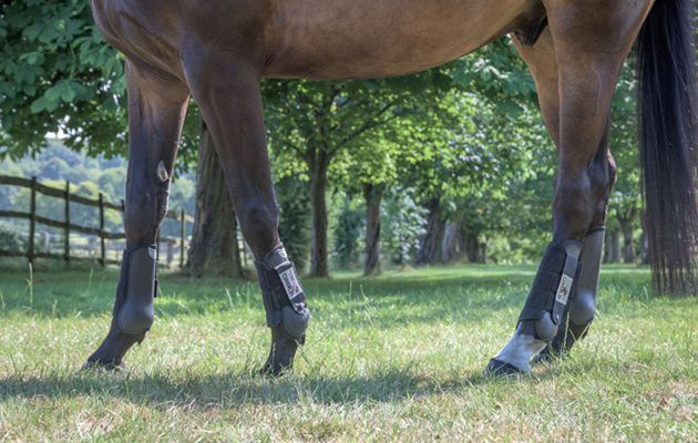 Eskadron&rsquo;s Flexisoft Cross-Country Boots review