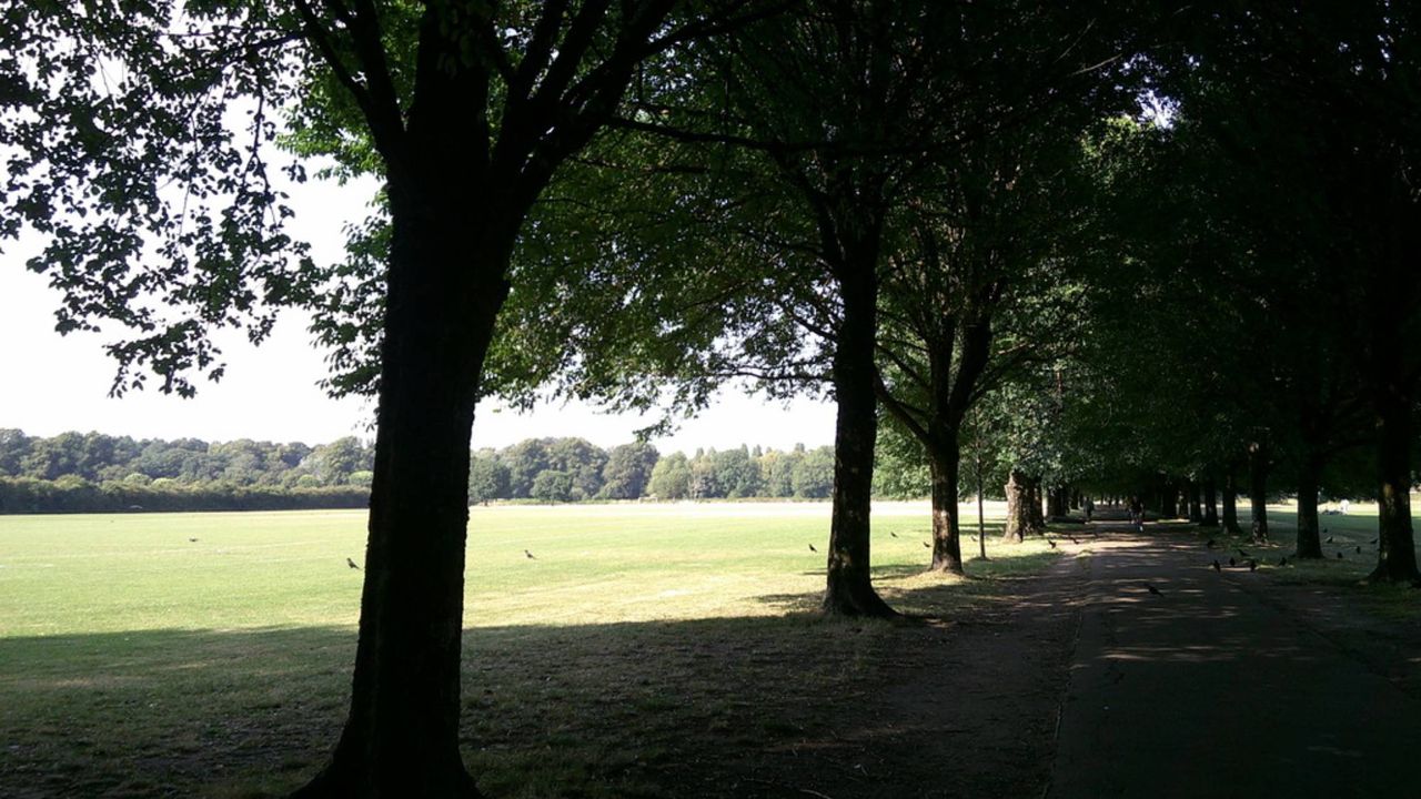 A photo of a footpath next to a playing field
