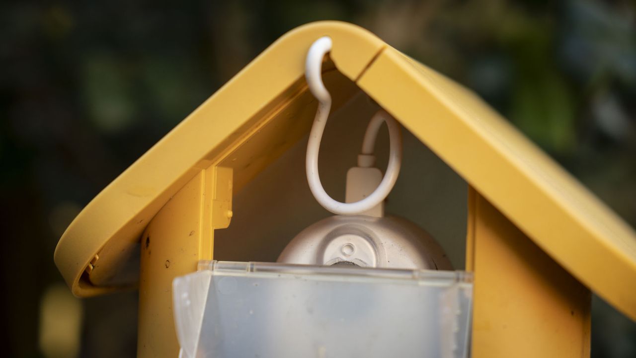 Bird Buddy smart Bird Feeder Pro