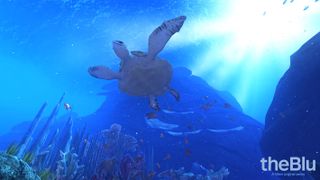 A sea turtle seems close enough to touch, in the VR underwater experience "TheBlu" at the Natural History Museum of Los Angeles.