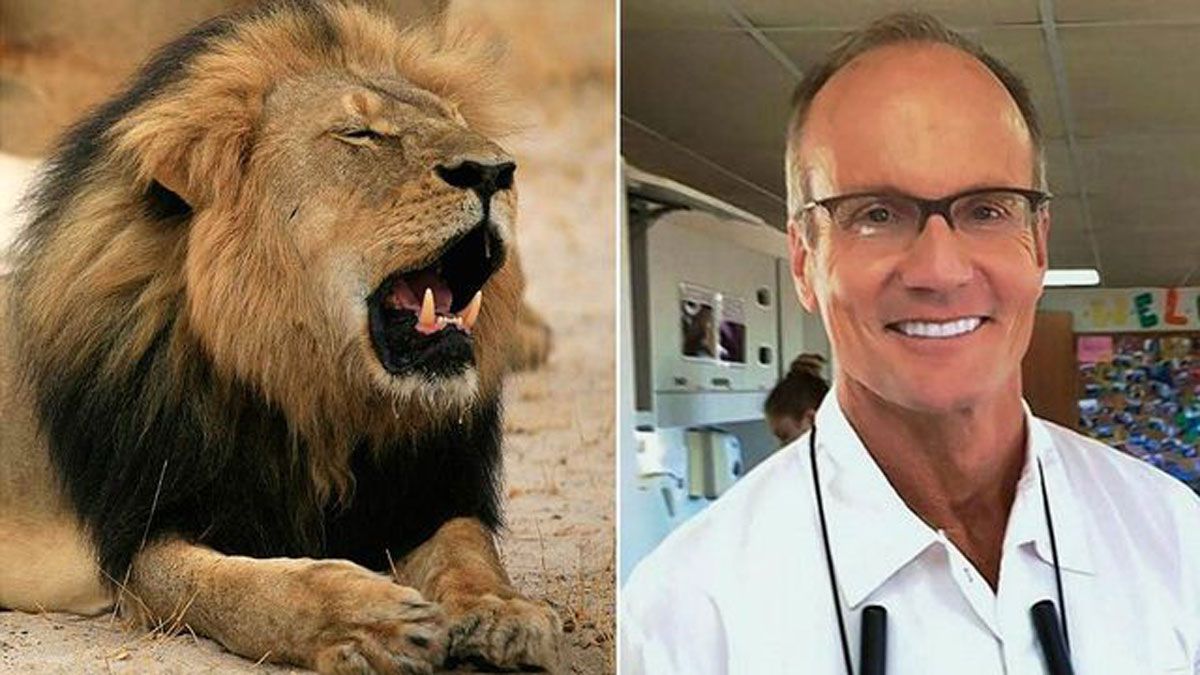 Walter Palmer Cecil The Lion