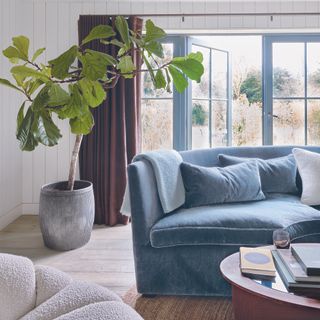 Living room with blue sofa, large french doors ajar and big plant.