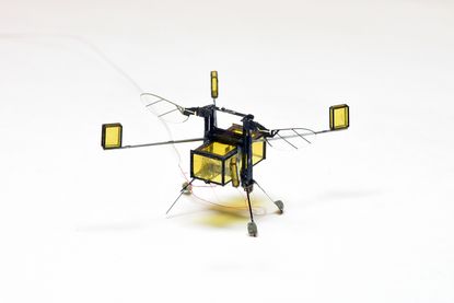 A bee bot prototype.