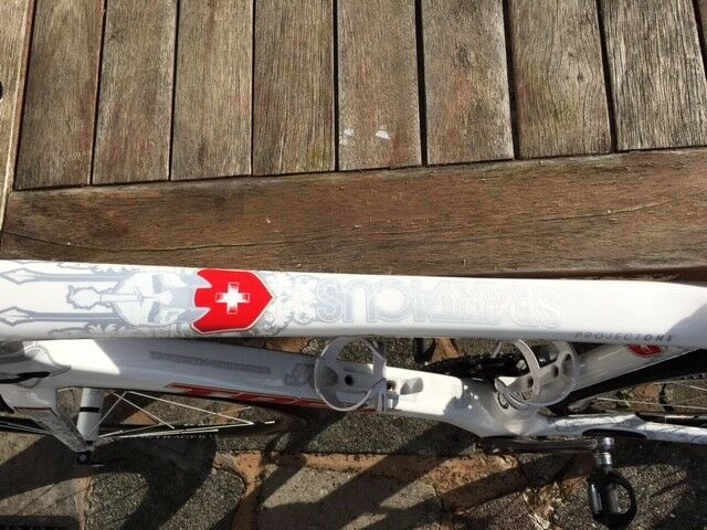 The Cancellara-themed decals
