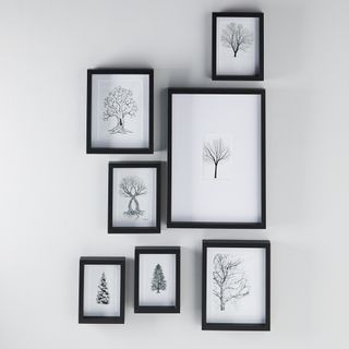 aldi assorted multipack frames on wall