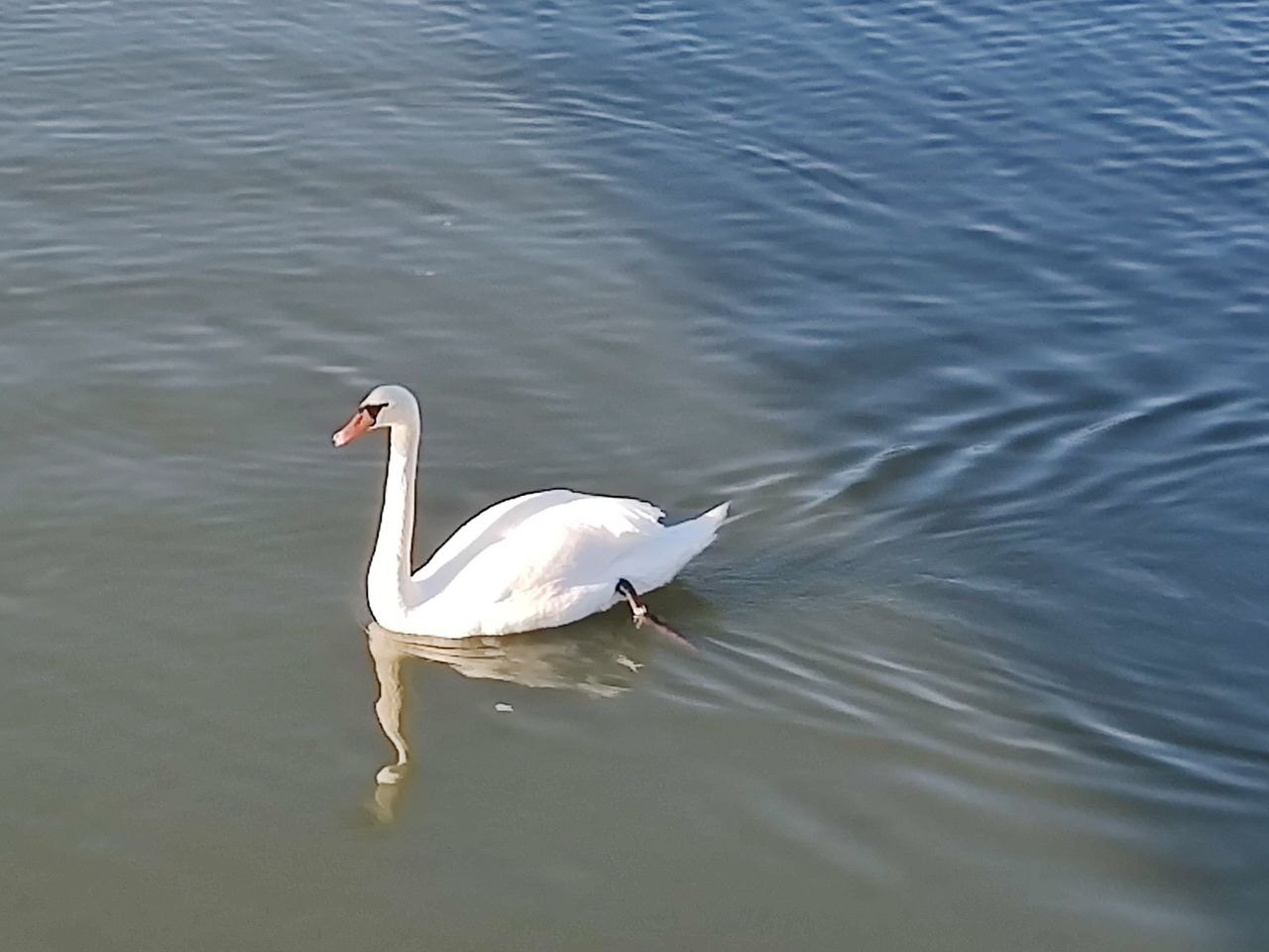 Motorola Edge 30 Pro