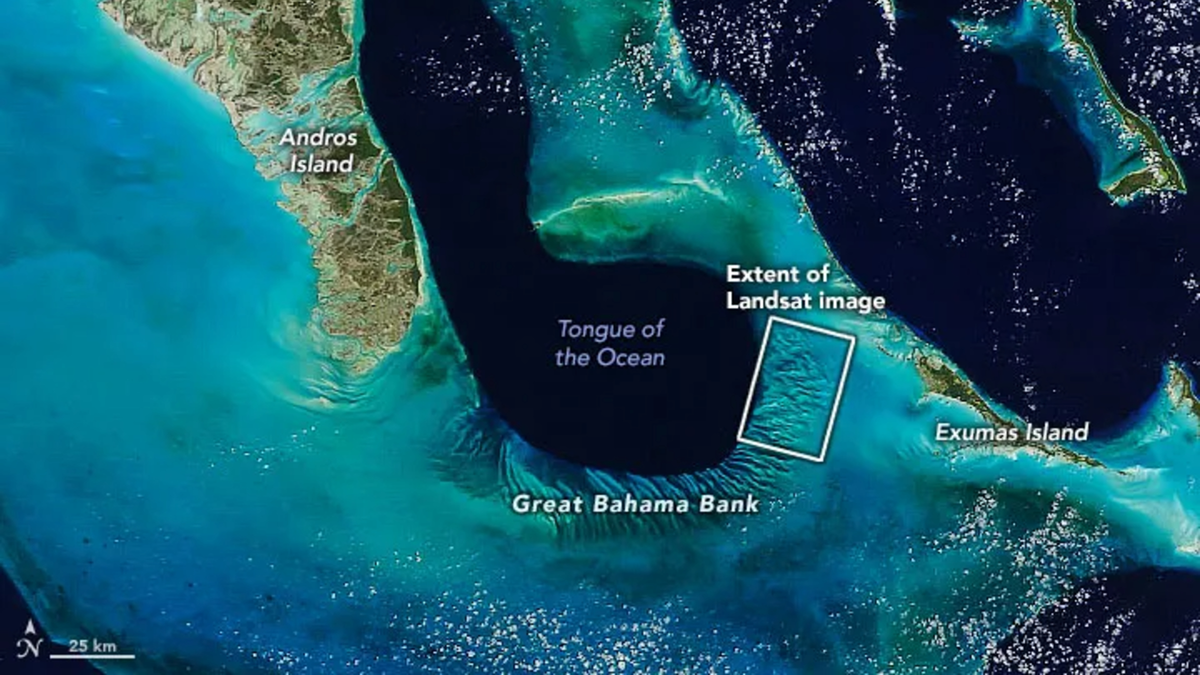 A zoomed out satellite photo showing the Great Bahama Bank's location relative to other islands and the &amp;quot;Tongue of the Ocean&amp;quot;