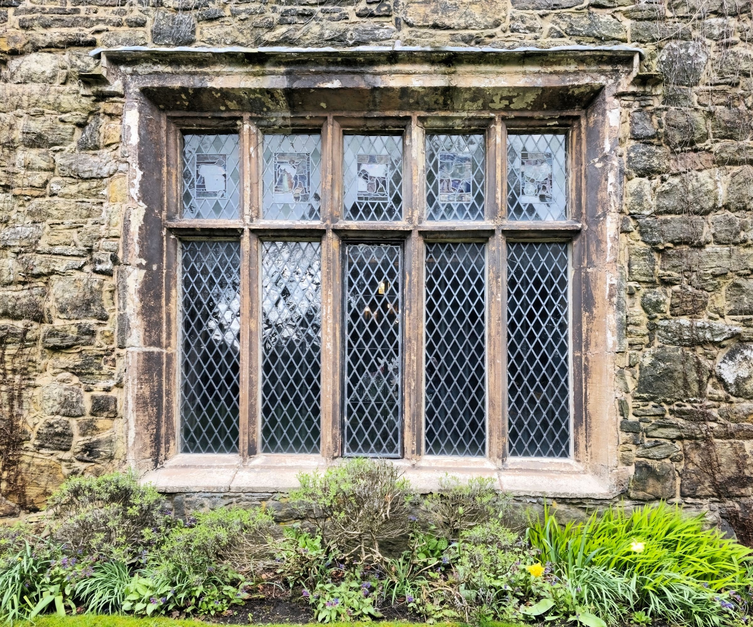 A diamond leaded stone framed window on a listed building as seen from the exterior with hedging below it