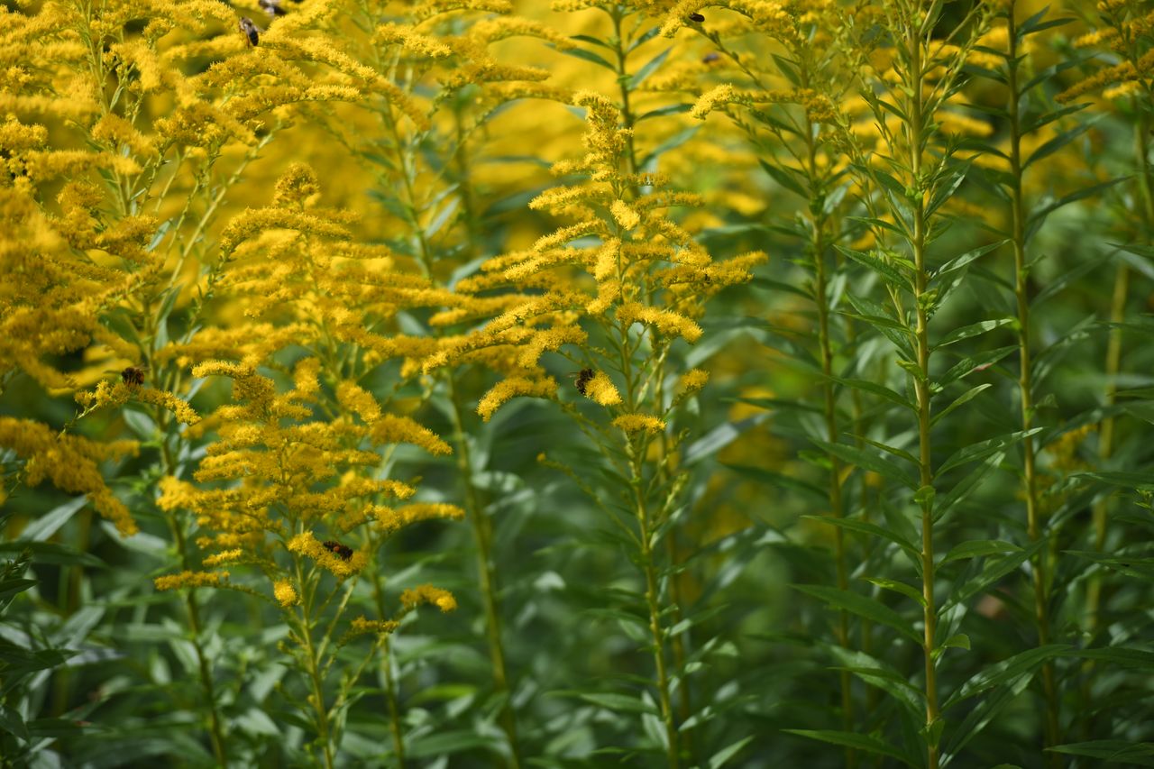 Nikon D850 sample image