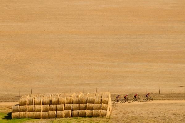 Riders pass through farmlands during stage 4 of the Cape Epic