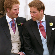 Princes Harry (left) and William after the wedding of their father, Prince Charles, to his second wife, Camilla Parker Bowles, at Windsor Guildhall, Berkshire, 9th April 2005.