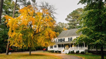 A colonial style house with large trees outside that are turning yellow in the fall
