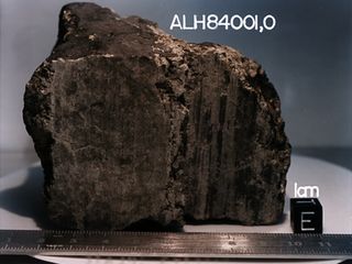 The ALH84001 meteorite, which in a 1996 Science publication was speculated to be host to what could be ancient Martian fossils. That finding is still under dispute today.