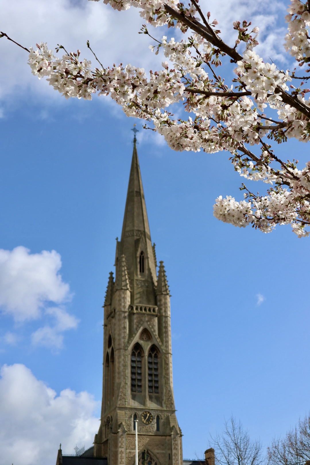 Canon PowerShot V1 sample images