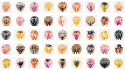 How Artists and Media Are Doing Away With Vulva Shame