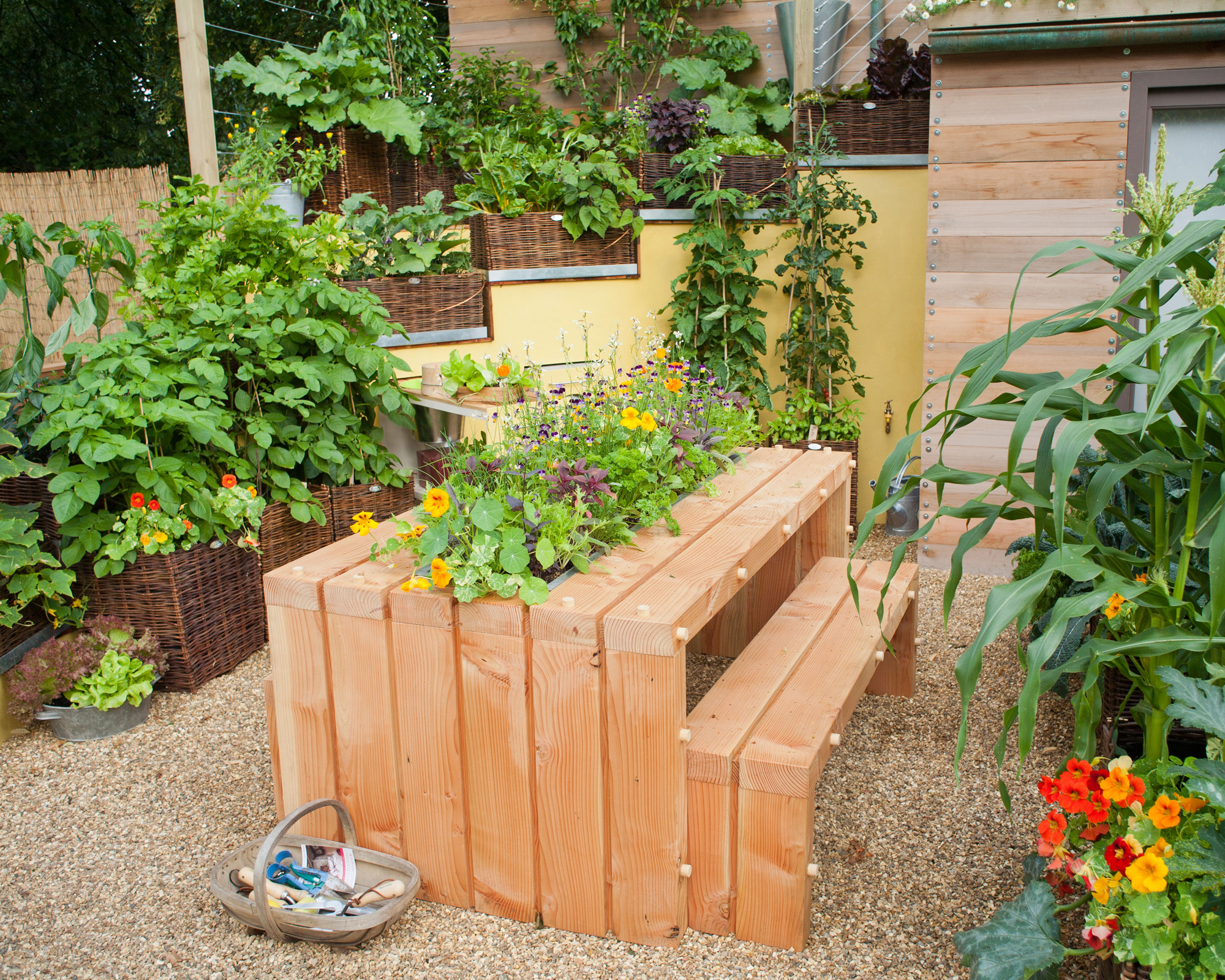 Contemporary courtyard with raised beds planted with vegetables.