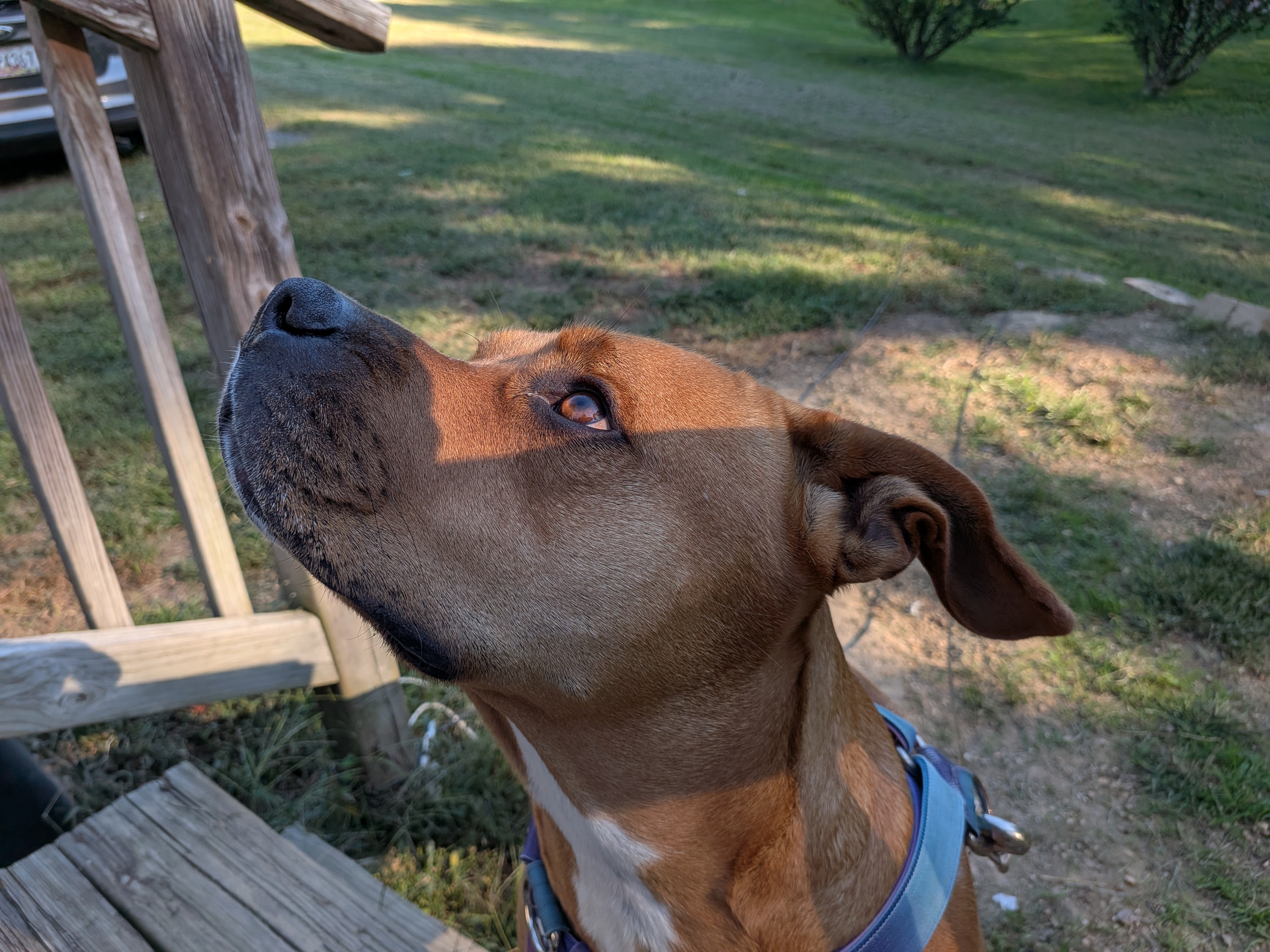 Google Pixel 10 Pro Fold camera samples