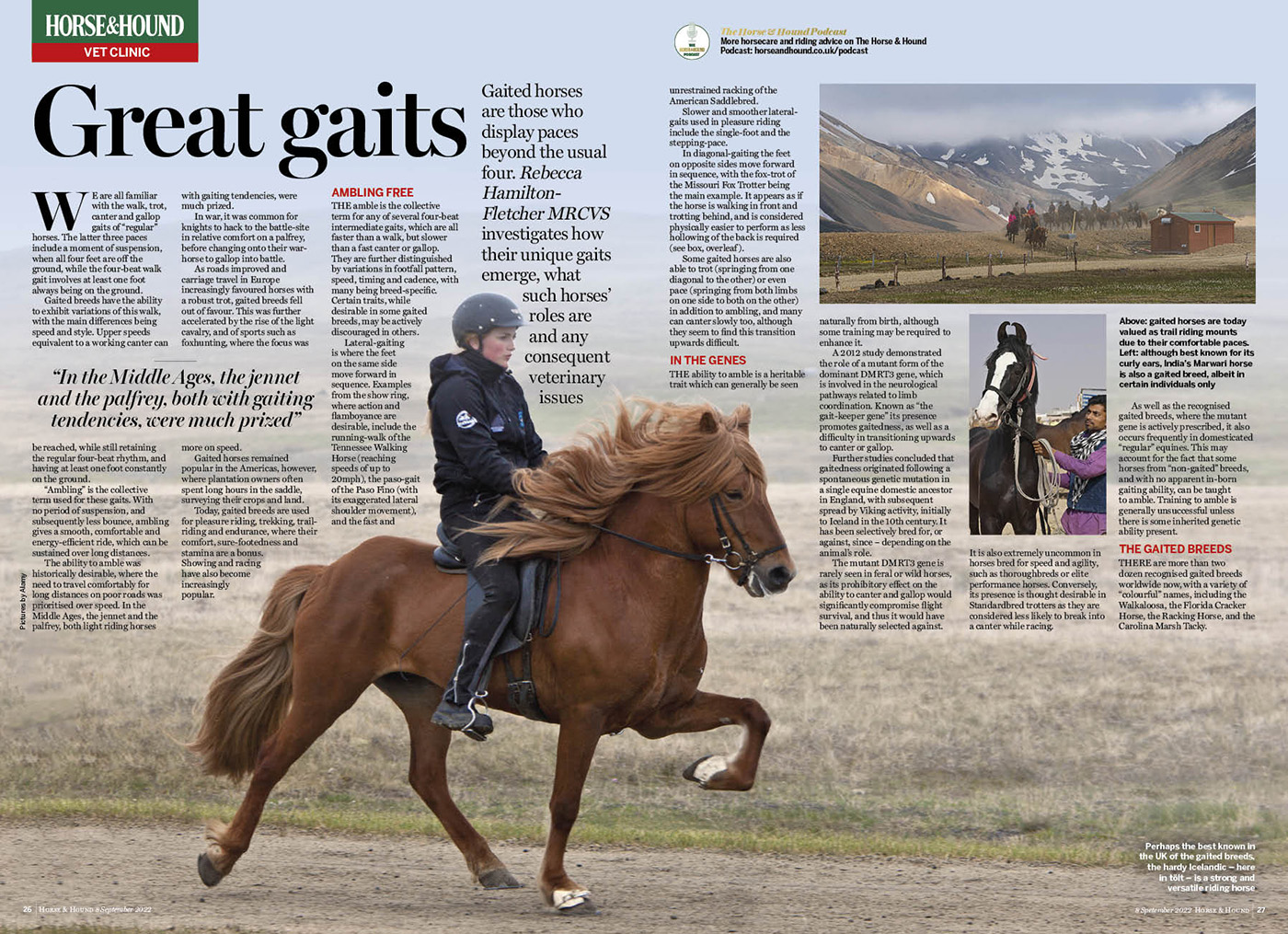 Vet Clinic: gaited horses