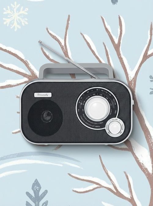 AM FM Portable Radio