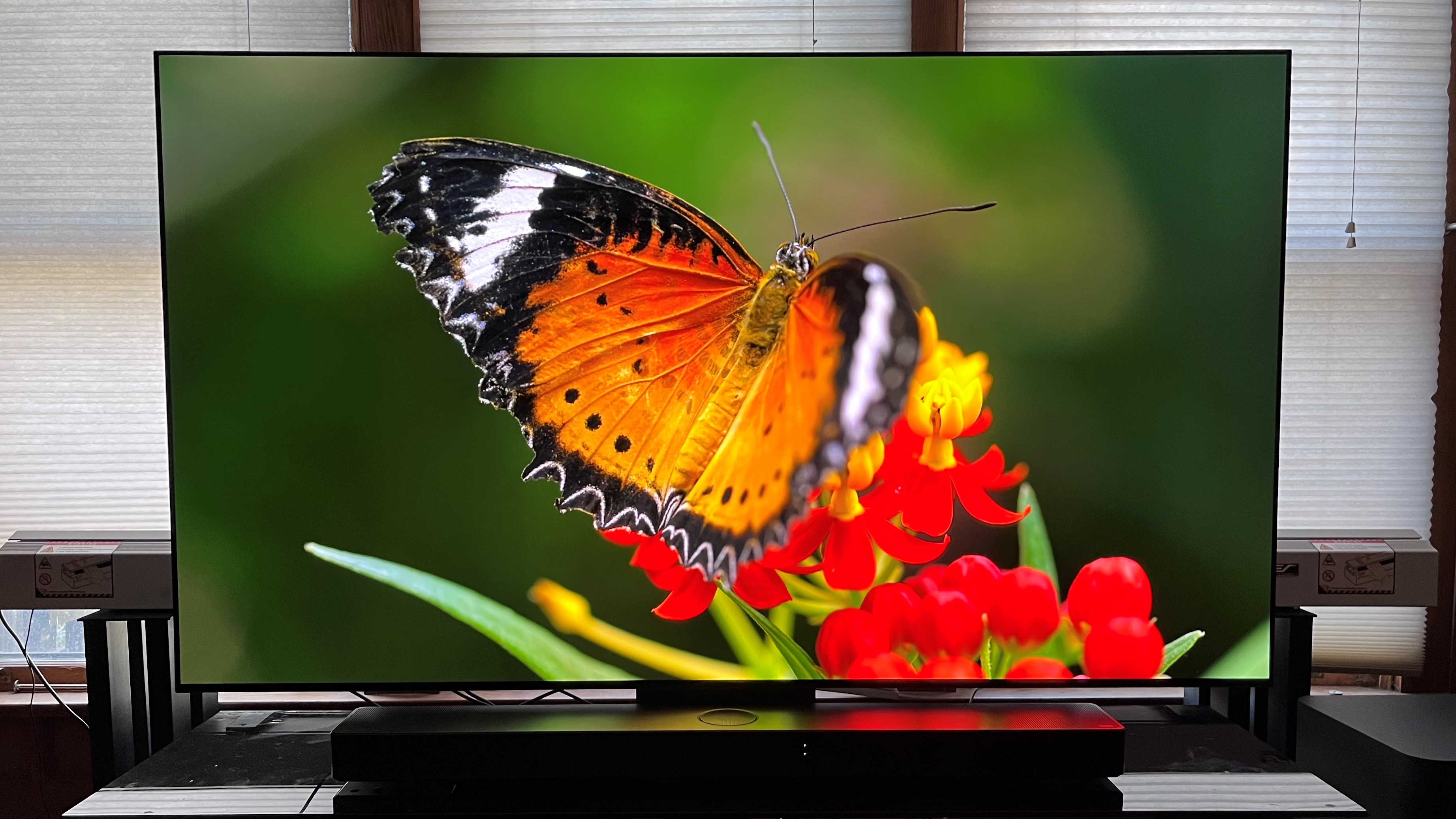 LG C3 OLED TV showing orange butterfly onscreen