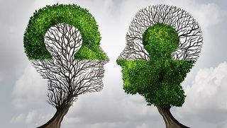 Business partnership tree puzzles