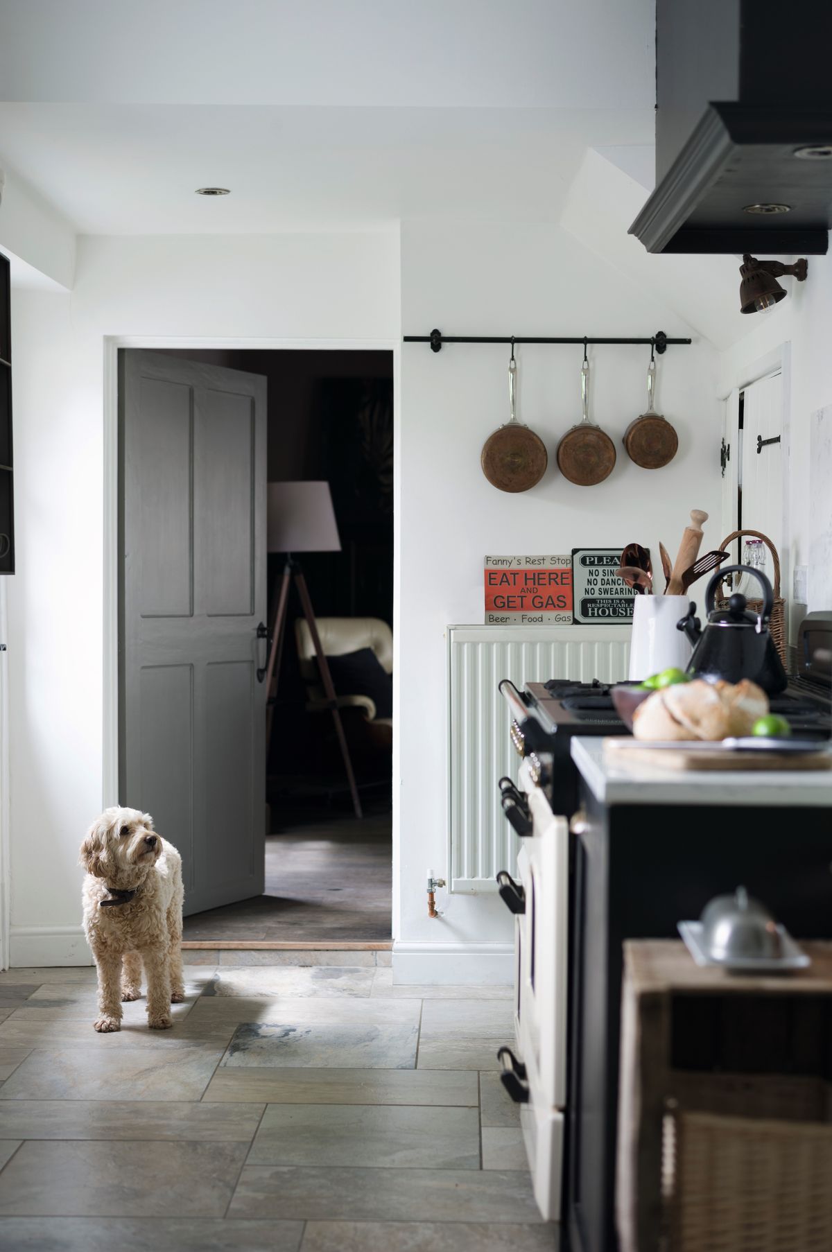 white and black kitchen with dog on floor