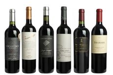 South American Cabernet Franc Panel Tasting