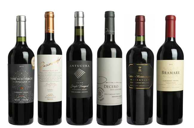 South American Cabernet Franc Panel Tasting