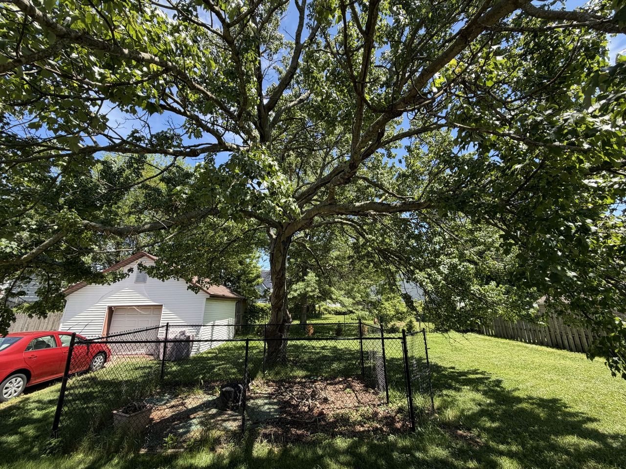 Apple iPhone 17 Pro camera sample.