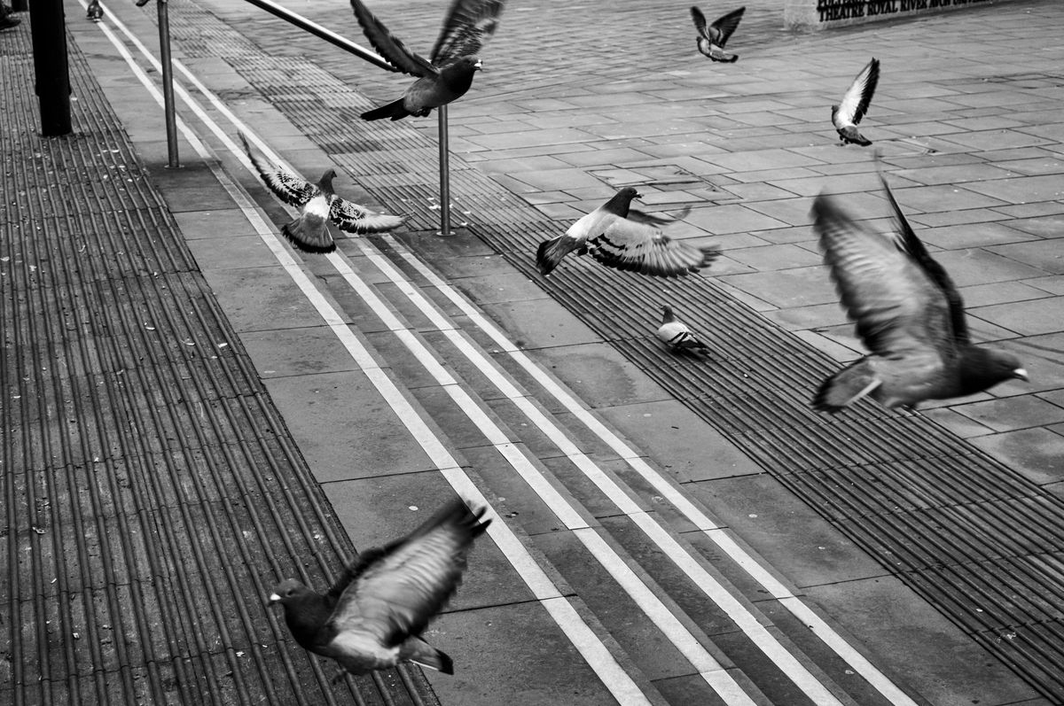 Leica 50mmSummicron-M f/2