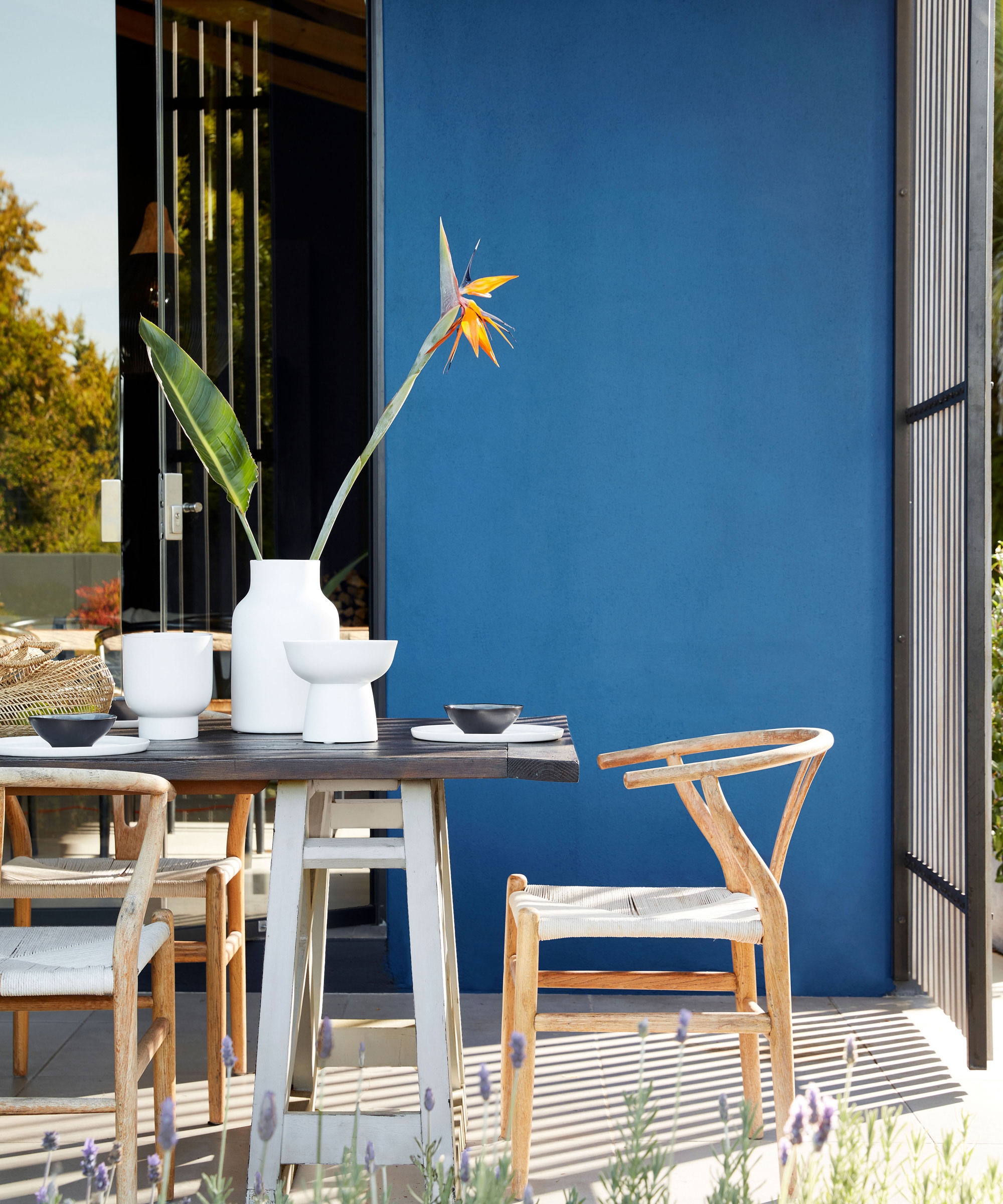 small patio area with wall painted blue, garden table set with china and accessories including an orange Strelitzia flower (bird of paradise), chairs and plants