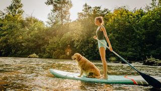 a woman paddle boarding with a dog sat on her board