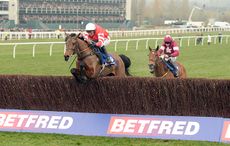coneygree-cheltenham-gold-cup.jpg