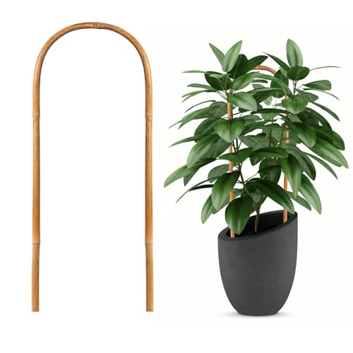 Hanaruer 20 Pack Bamboo Trellis, Natural Bamboo Plants Trellis U-Hoop, 16" Garden Trellis With Twist Ties, Bamboo Trellis U-Shape for Climbing Plant Support, Small Potted Plant Trellis for Indoor
