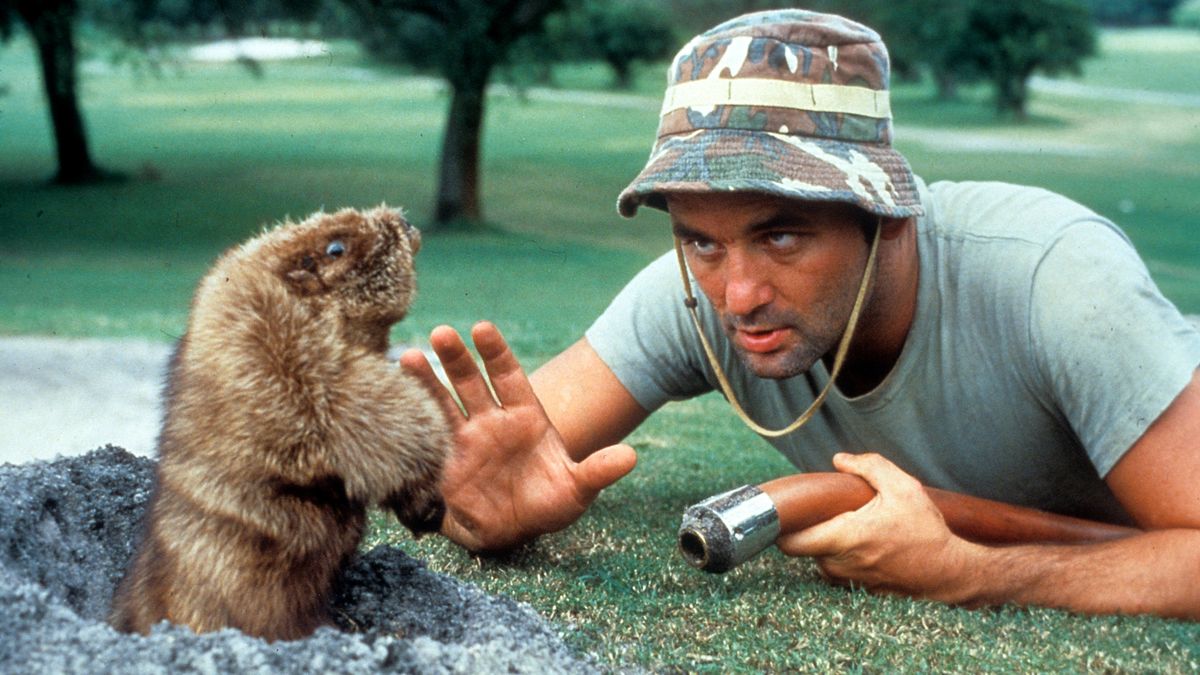 Bill Murray and the gopher in Caddyshack