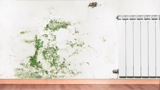 Green mould and damp stains spreading on a white wall next to a radiator 