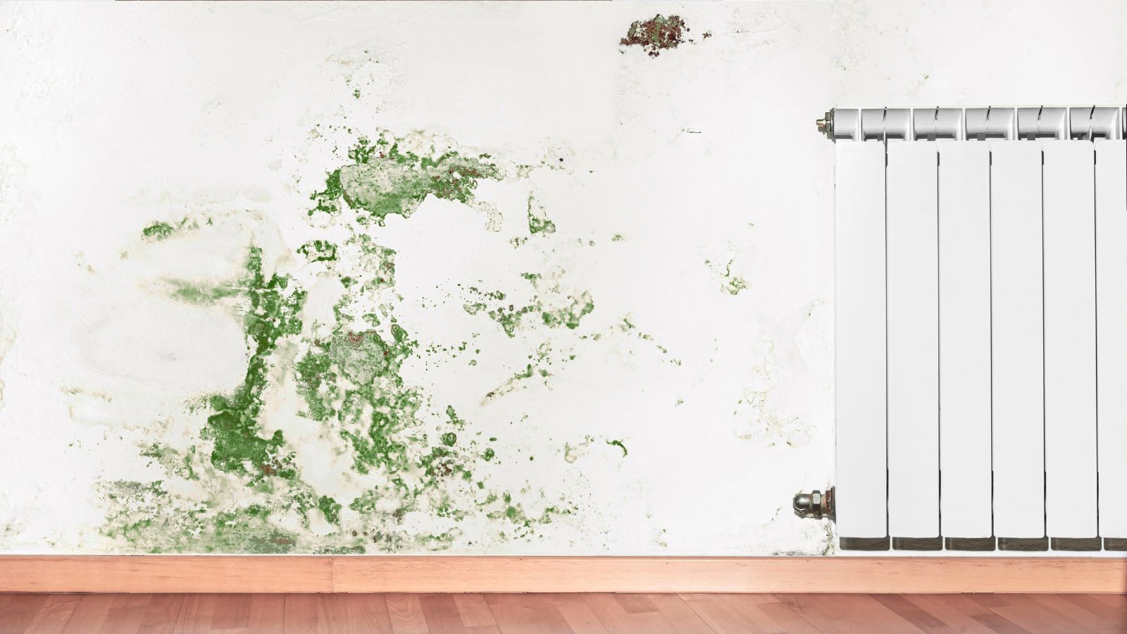 Green mould and damp stains spreading on a white wall next to a radiator  