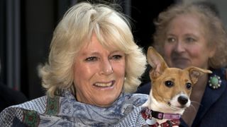 Camilla, Duchess of Cornwall, carries her dog Bluebell as she arrives at the Battersea Dogs & Cats Home