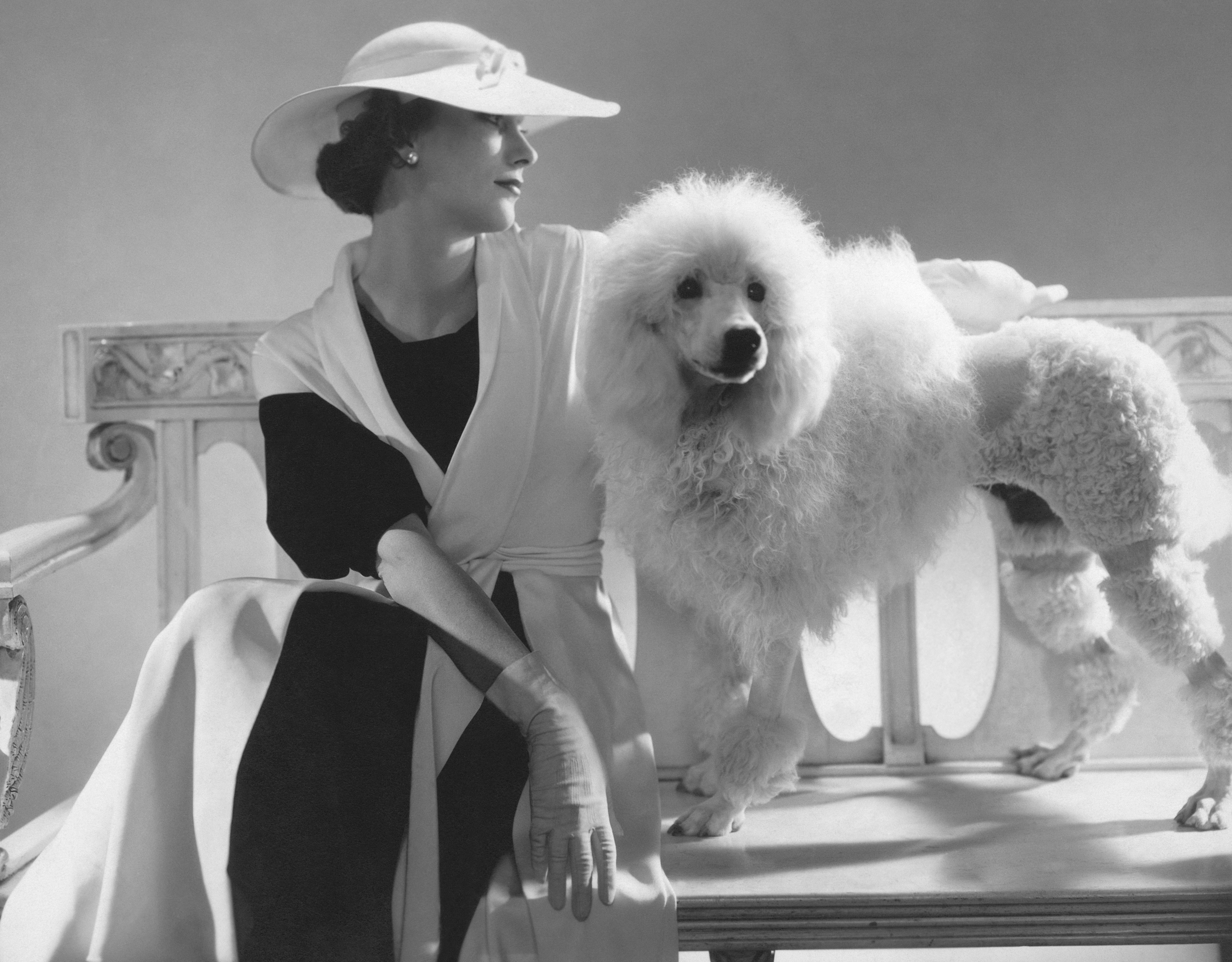 Fashion model Isabel Johnson sits on a bench in a black crepe dress, sleeveless coat and wide-brimmed hat beside a white poodle with a traditional clipped coat in a 1934 Vogue photograph.