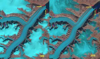 Satellite images from 1989 (Landsat) 2016 (Sentinel) show the retreat of Coronation Glacier and the formation of a new island at the glacier's terminus (yellow arrow). The red arrows indicate the end of the glacier in 1989.