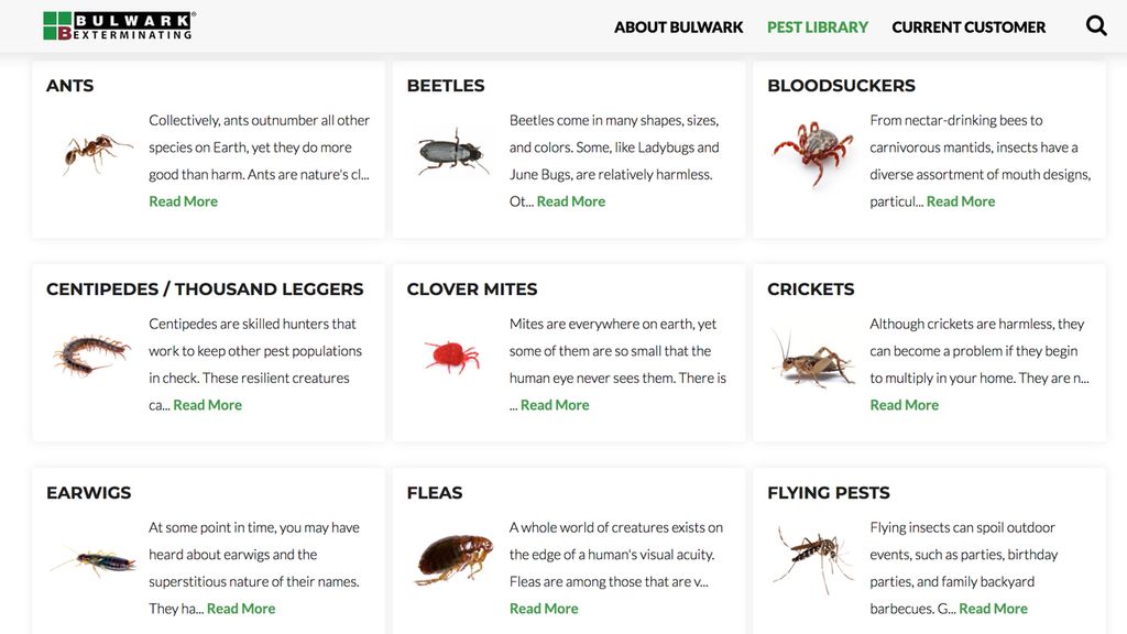 Bulwark Pest Control Review Top Ten Reviews