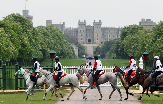 Royal Windsor Endurance Windsor Great Park Windsor Castle