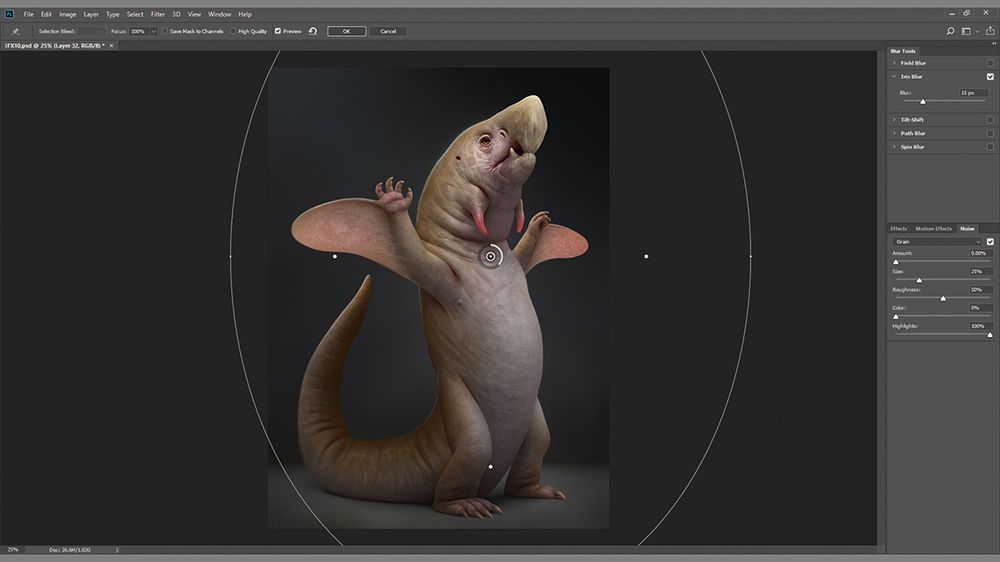 Use soft Iris Blur to direct attention to the focal area
