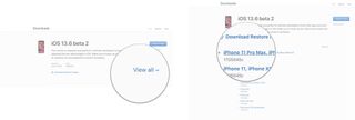 Downloading a Restore Image for a beta showing the steps to Click View All under the version you want to download and then click the download link for the device you want to install it on