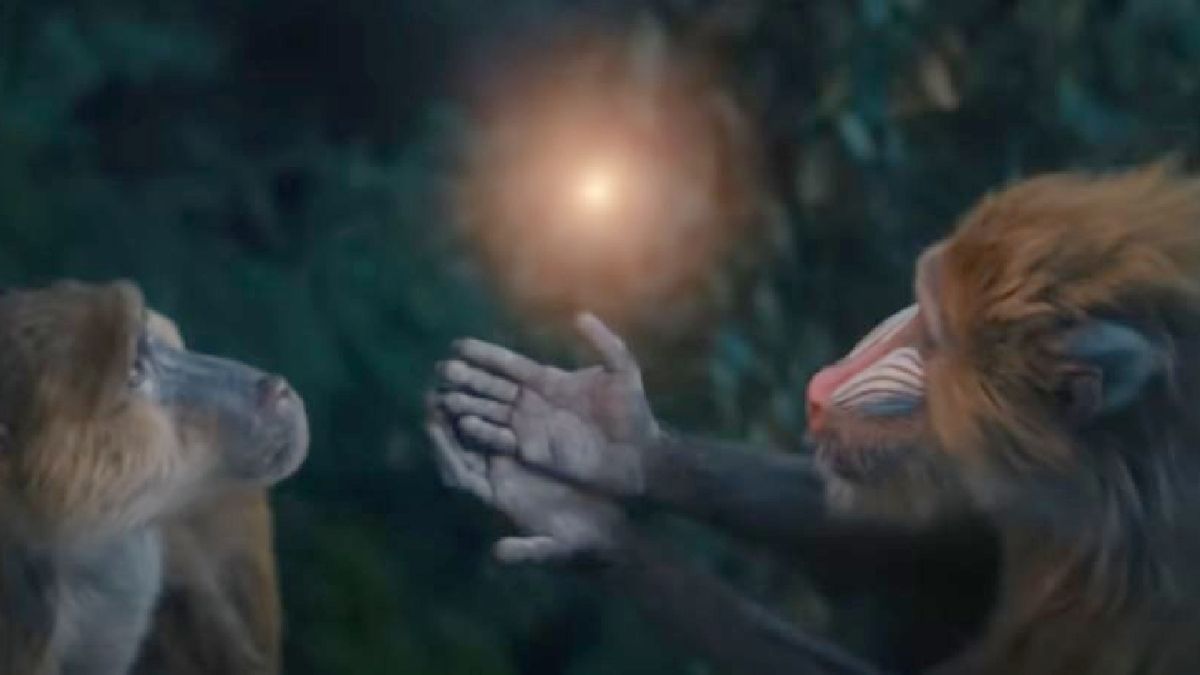 Mufasa: The Lion King: Release Date, Cast, And Other Things We Know